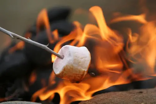s'mores on a fire