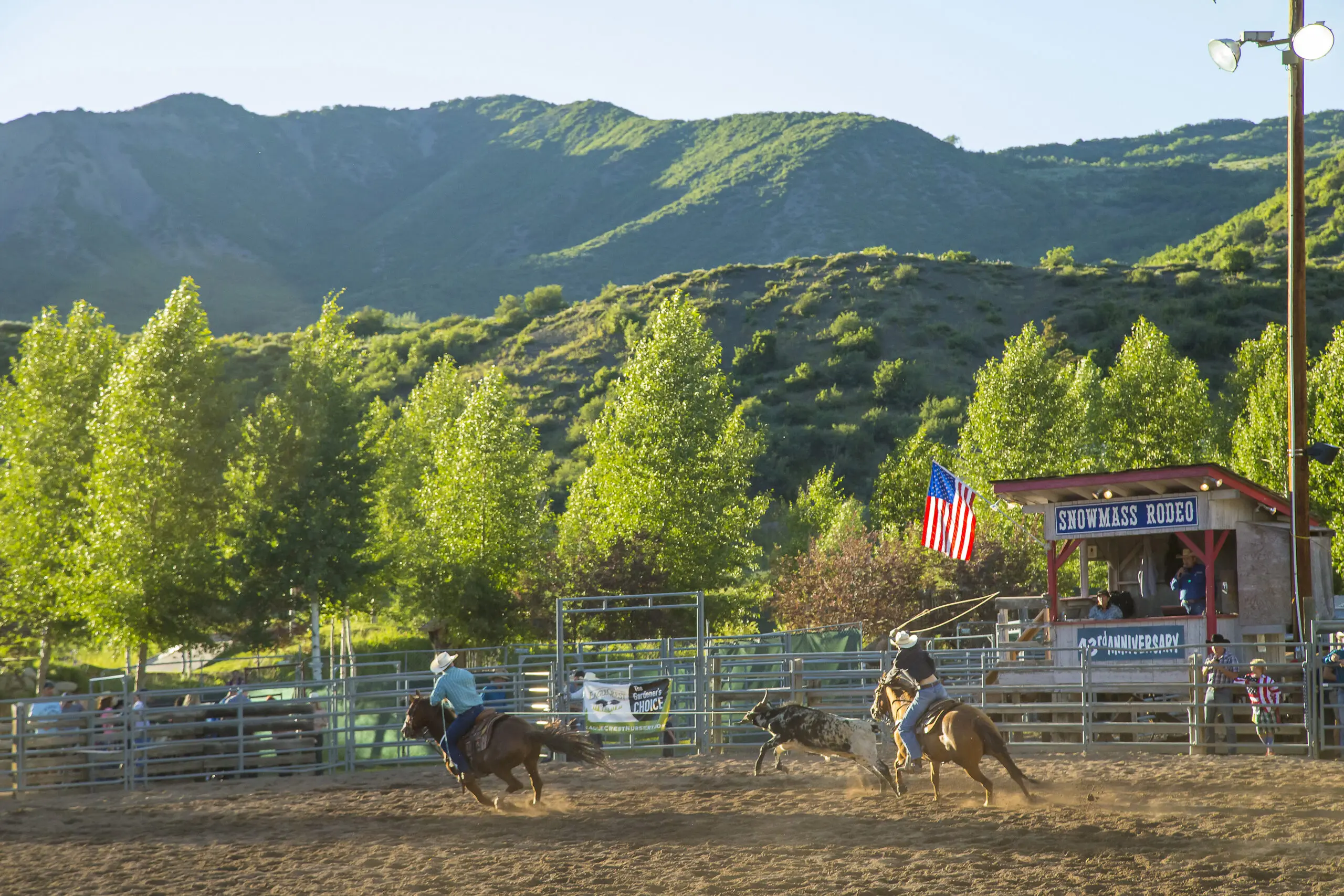 snowmass rodeo summer horses bull