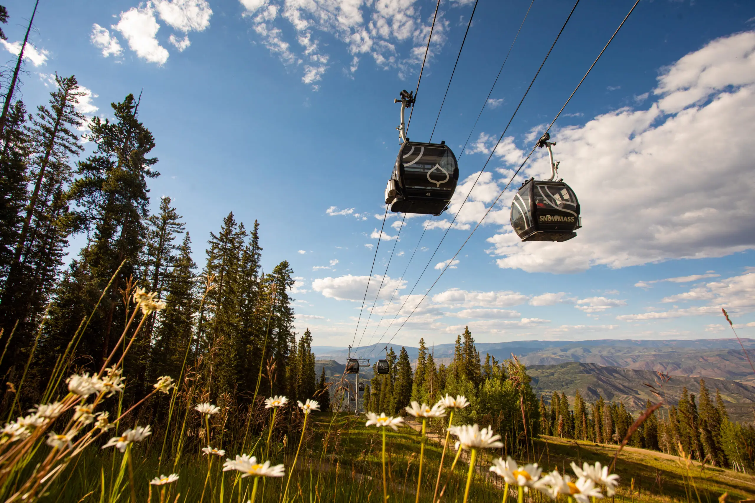 summer scenic gondola ride wildflowers bike park elk camp snowmass