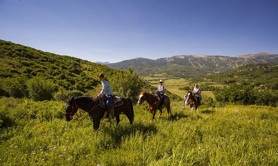 Image for Horseback Riding