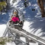 People going down an alpine slide
