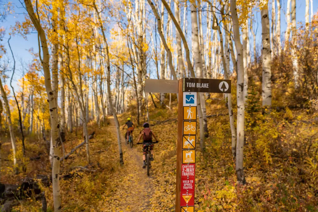 Two mountain bikers bike past the trail sign for Tom Blake Trail under a canopy of golden aspen trees.