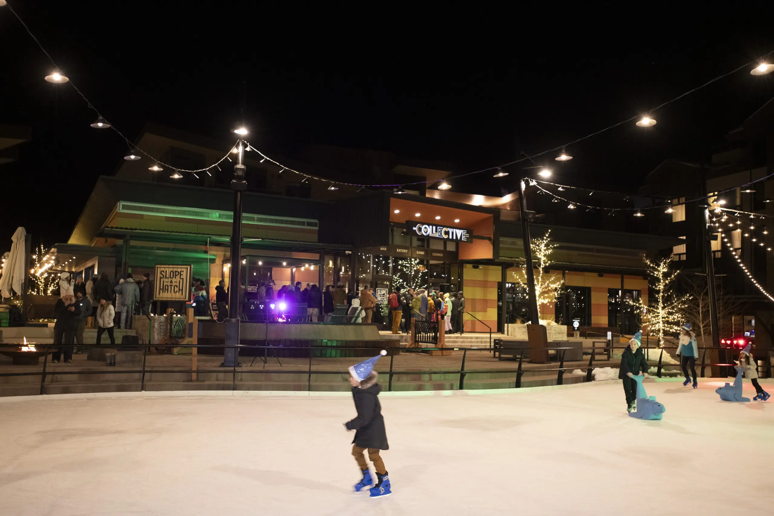 Image for The Collective Snowmass