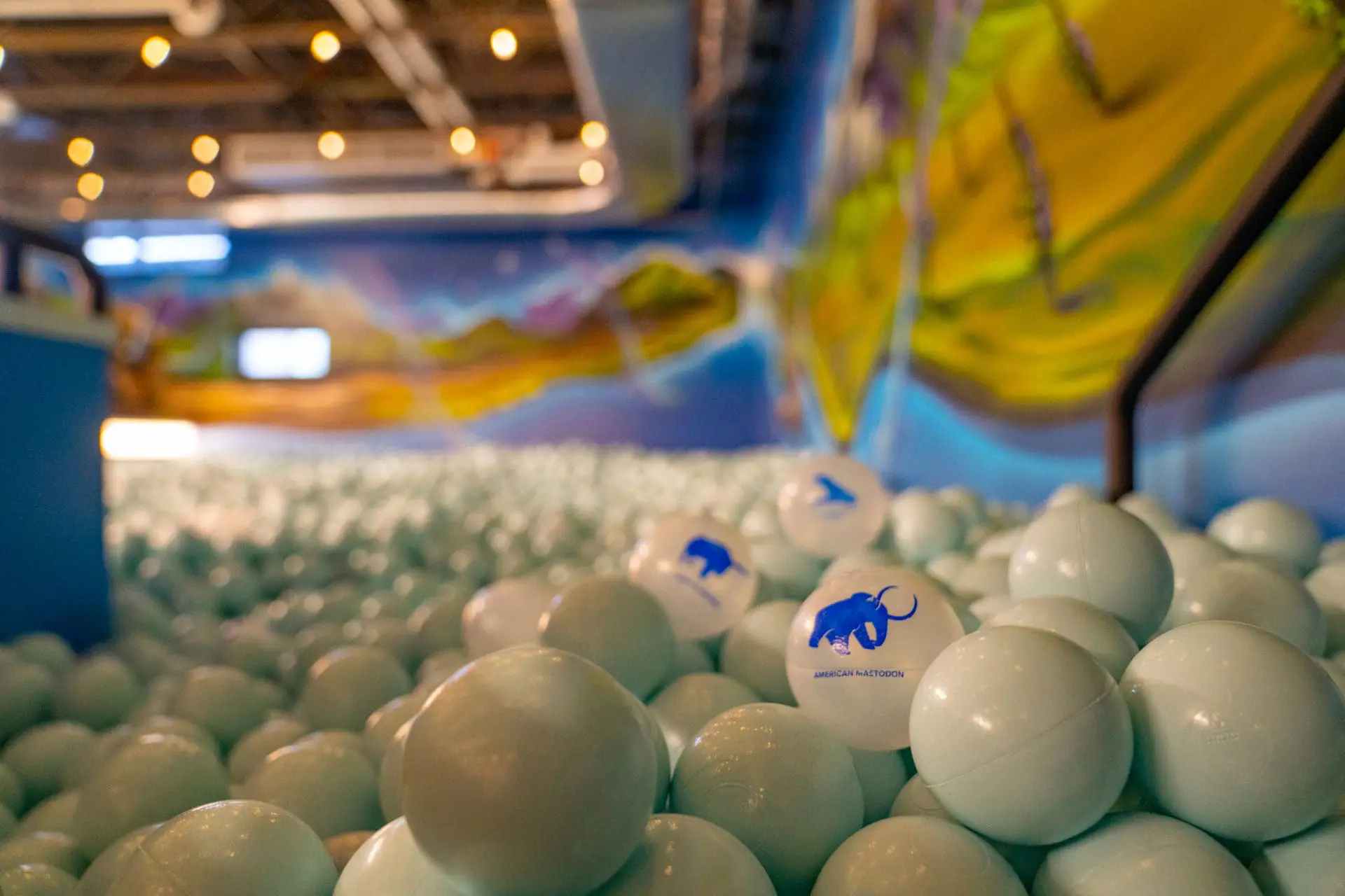 Close up of the ball pit