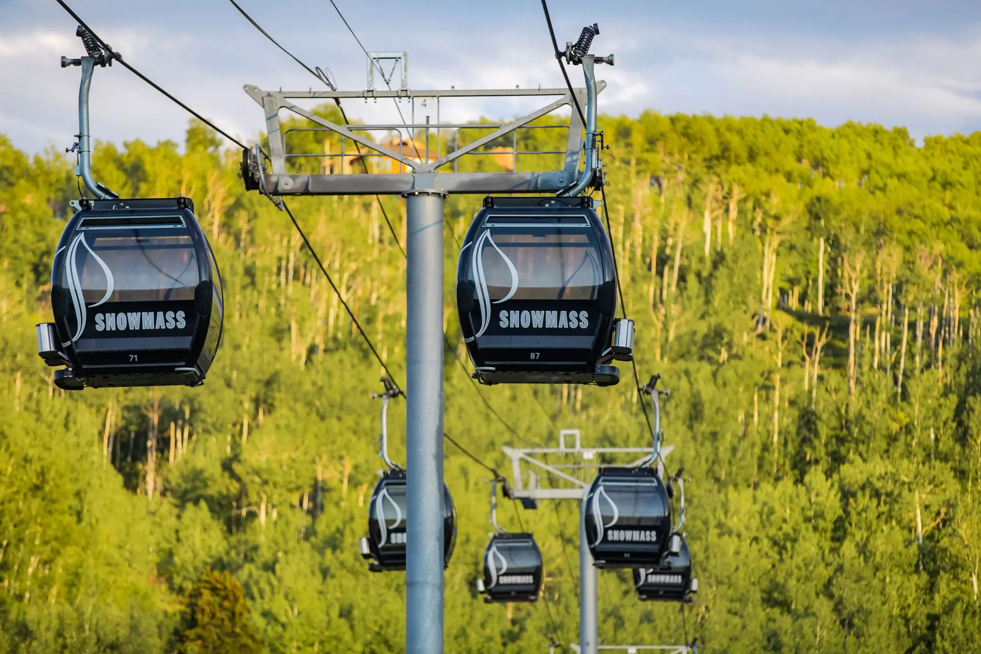 Gondolas during the summer with trees in the background