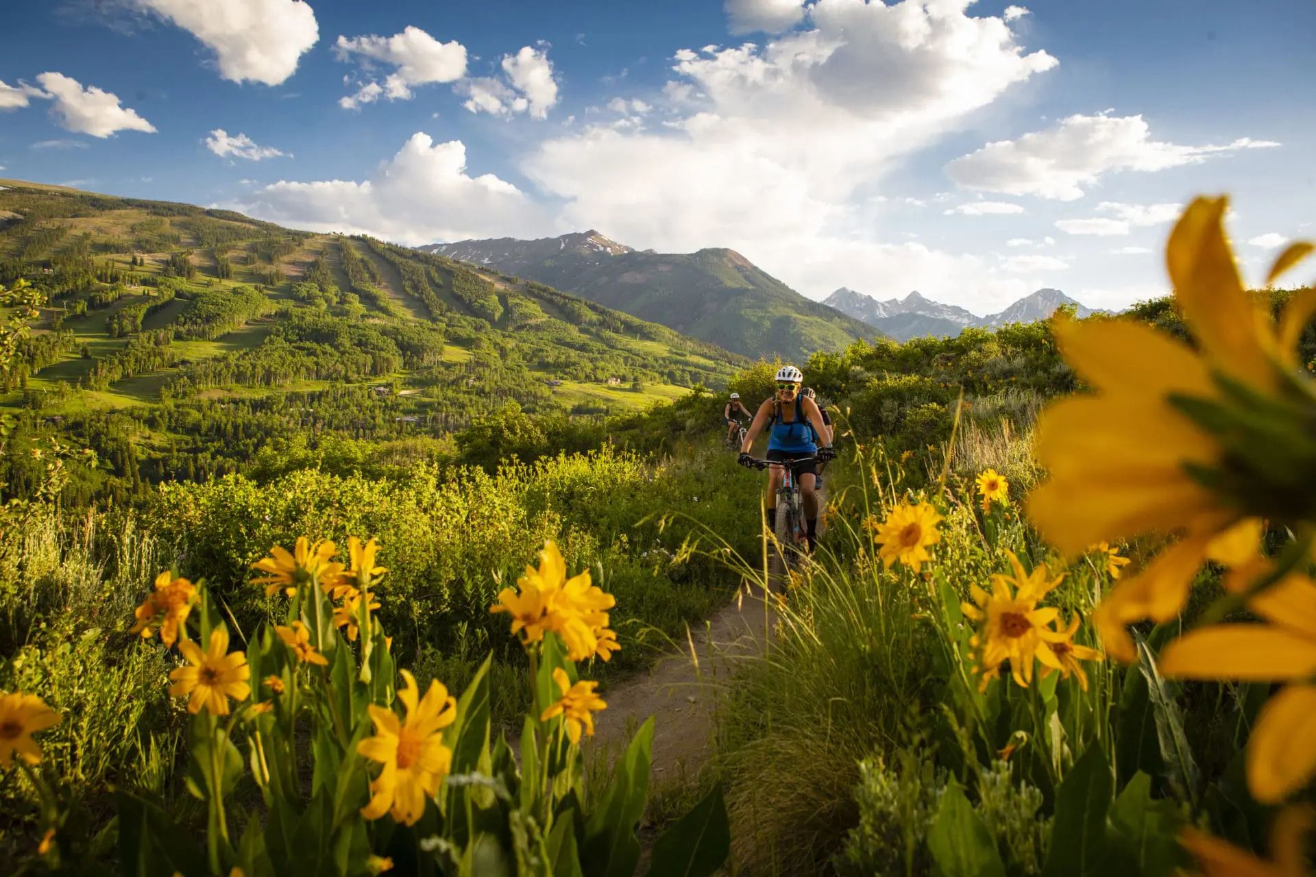 Mountain biking among wildflowers