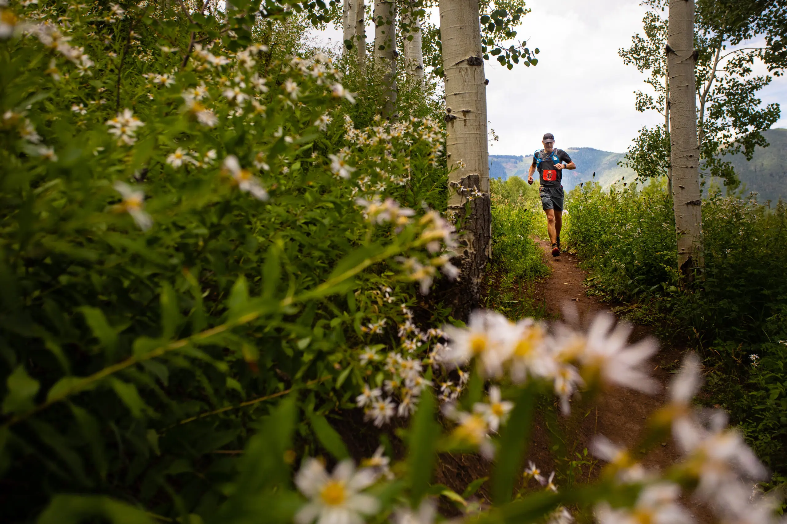 Audi Power of Four trailrunner runs on the Government Trail in Snowmass in the summer, with wildflowers blooming all around him.