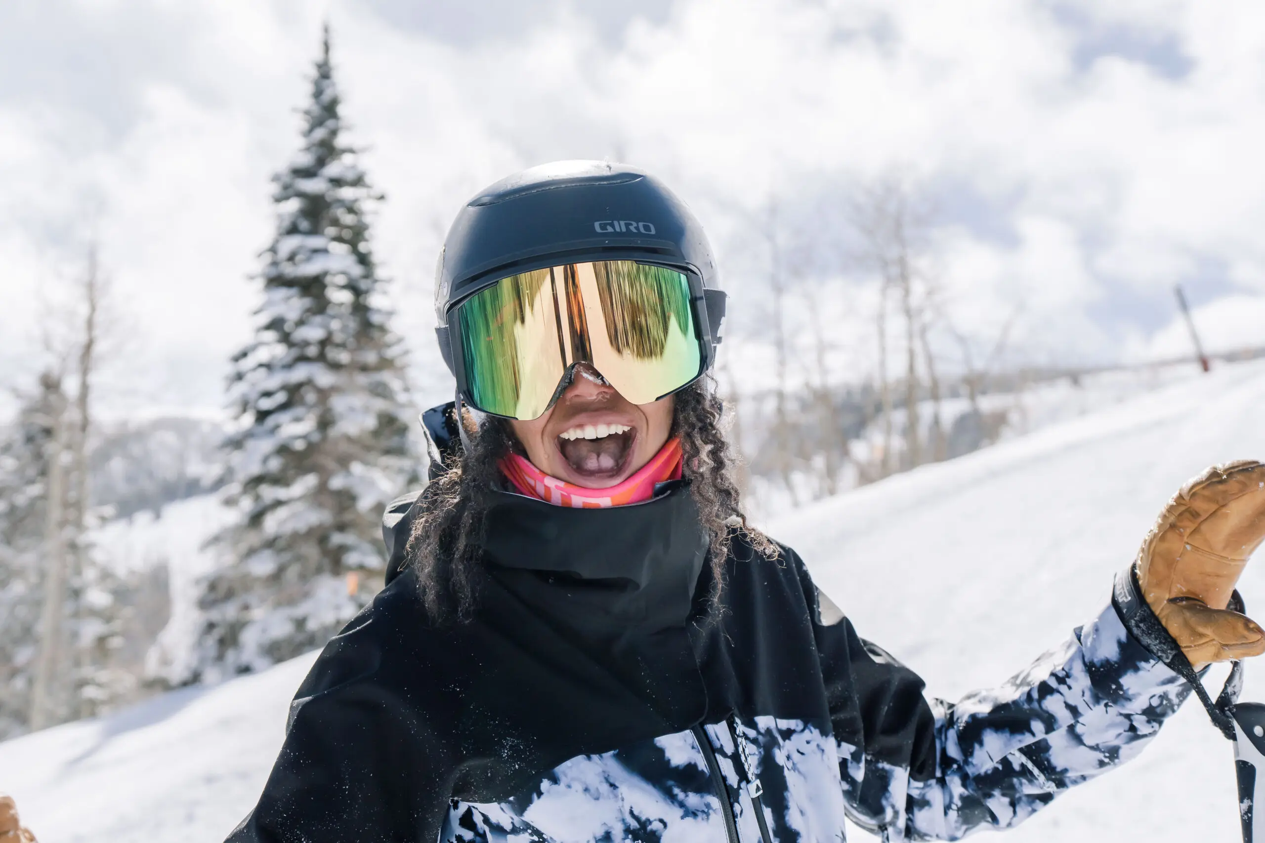 Image for Awards & Honors