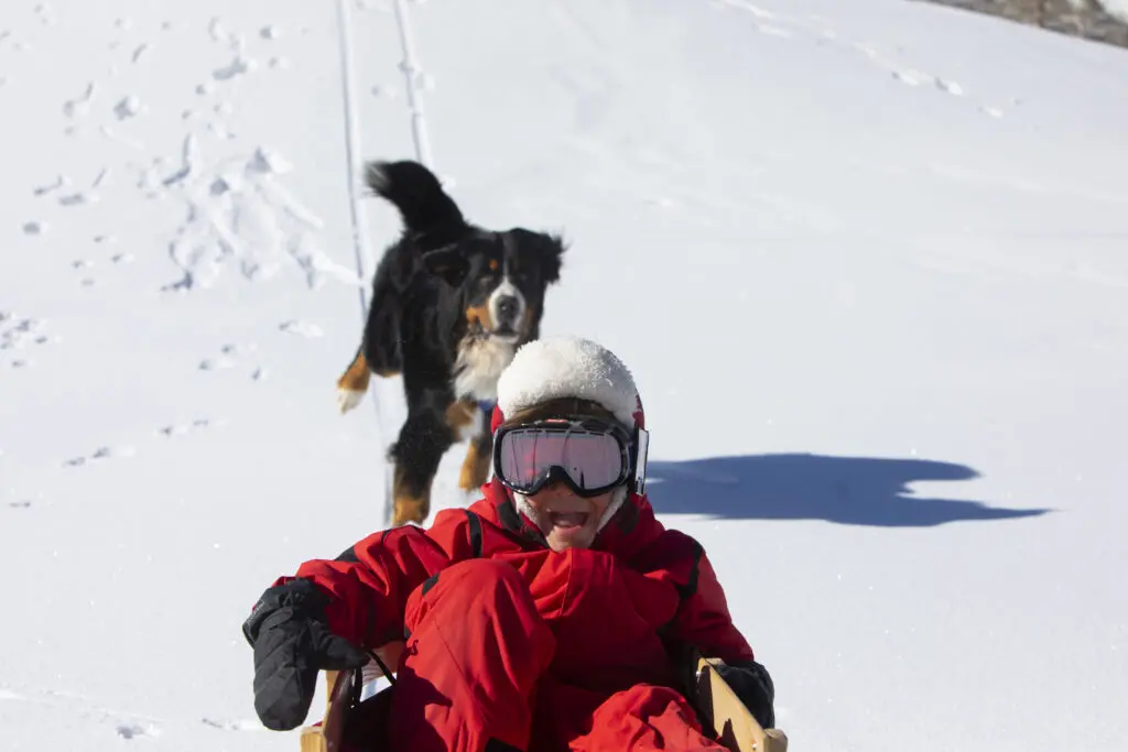 dog-friendly sledding hill with dog and toddler in the snow