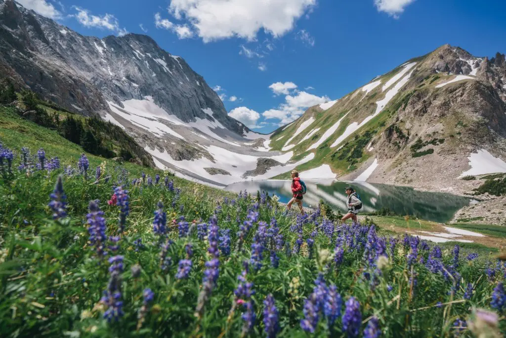 two people hiking up a hillside on a trail near Aspen that is covered in purple Colorado wildflowers with a lake and mountains in the background
