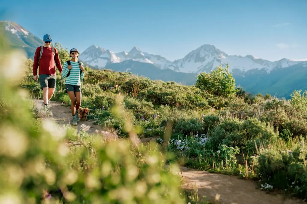 A couple hikes with their small dog in snowmass colorado