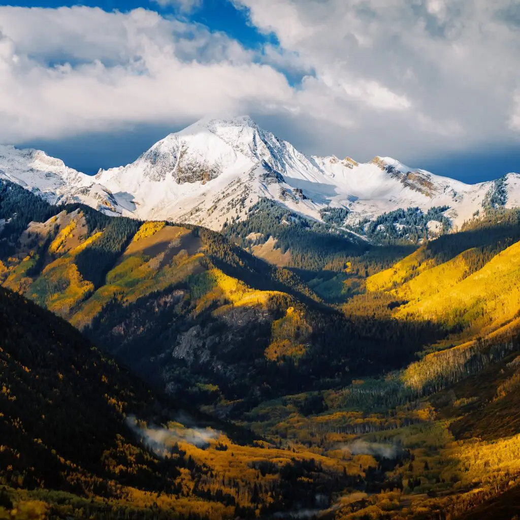 snow covered mountain with yellow aspen trees with their leaves changing color during the fall