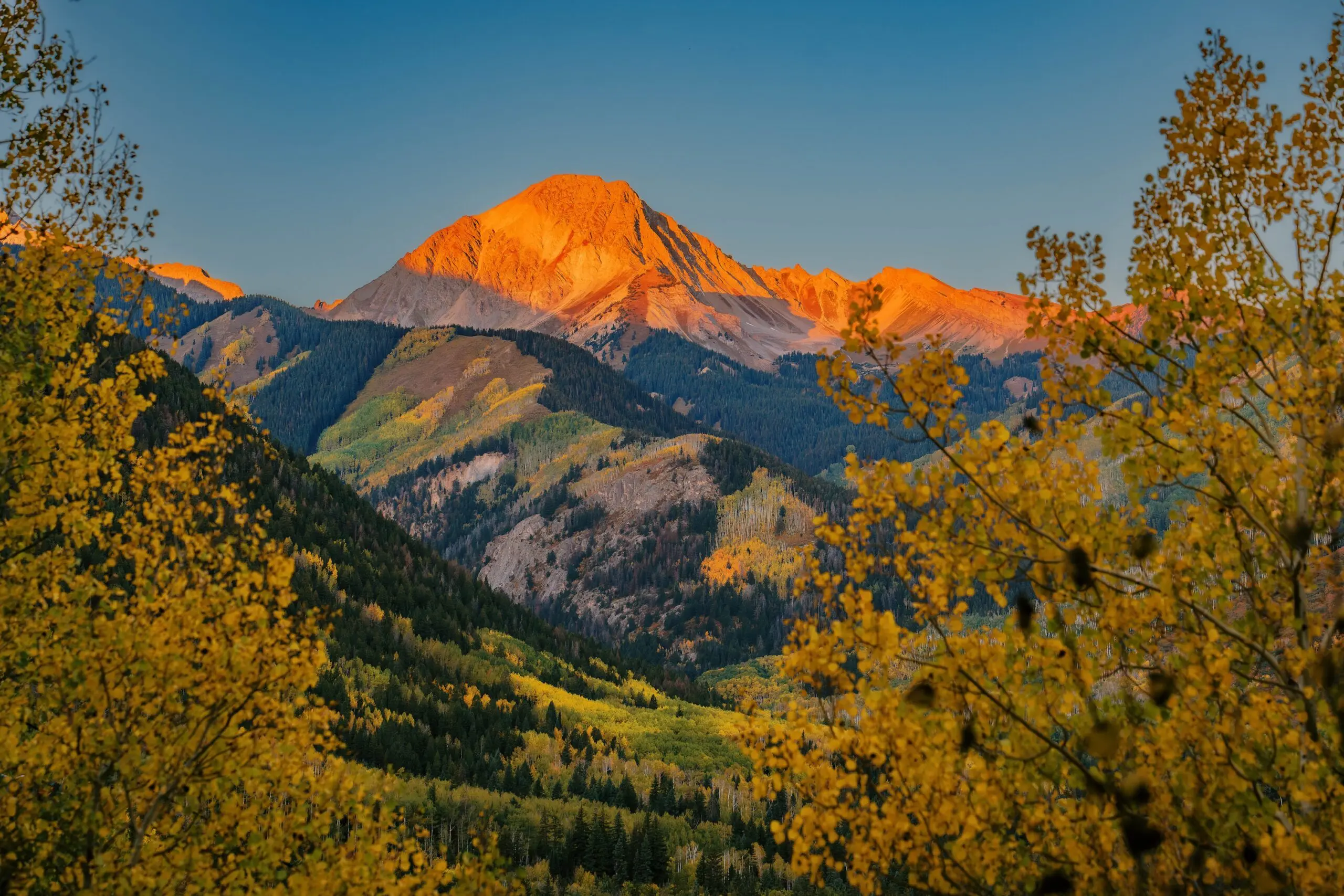 alpenglow on the tip of a mountain near Aspen Colorado on a fall day where the foliage has turned yellow