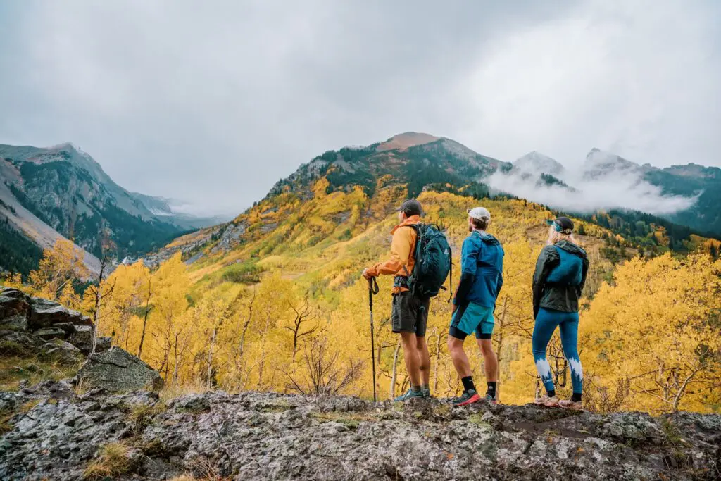 golden yellow fall foliage on the sides of a mountain in Aspen Colorado as three hikers stand on the trail admiring the autumn scene