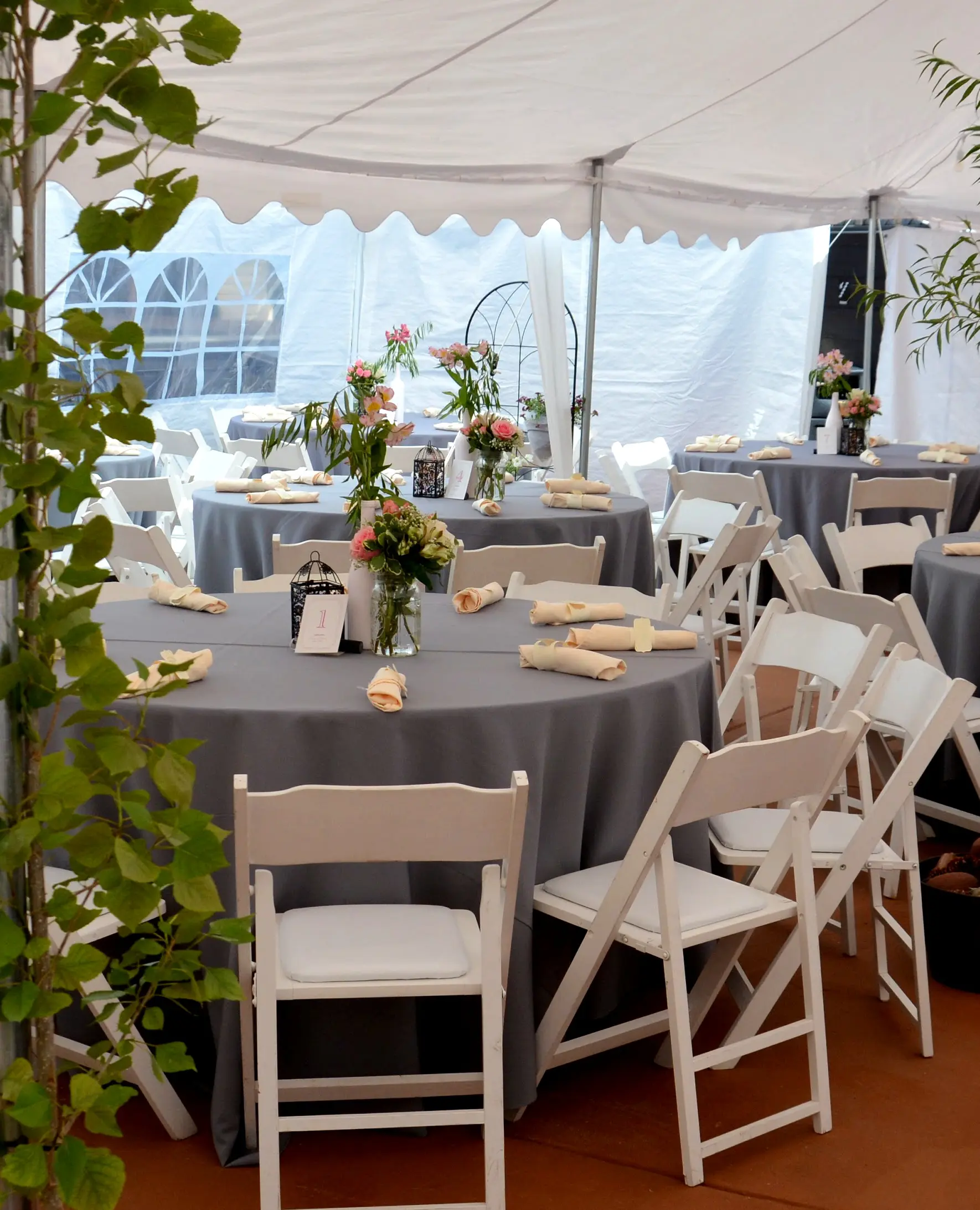 patio 6