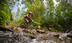 Person riding a mountain bike through a forest