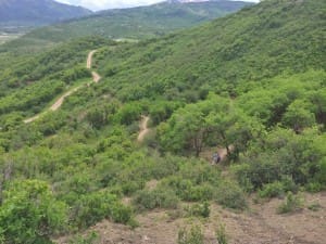 view of trail from far away