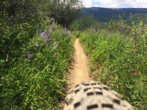 view of the trail up close on bike