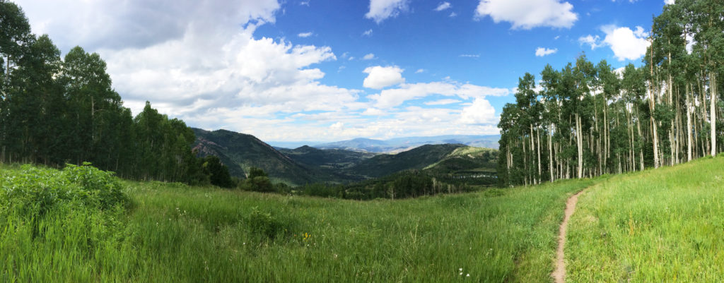 rolling meadow on ski resort with aspen grove
