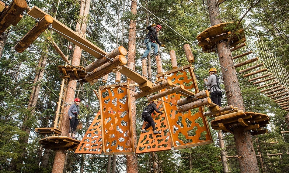 The Lost Forest ropes course