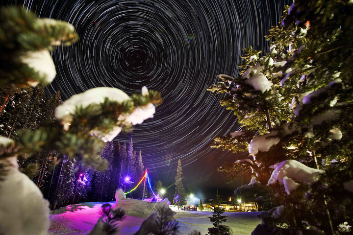 Night time lapse of stars above Christmas trees