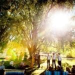 Wedding outside by a large tree