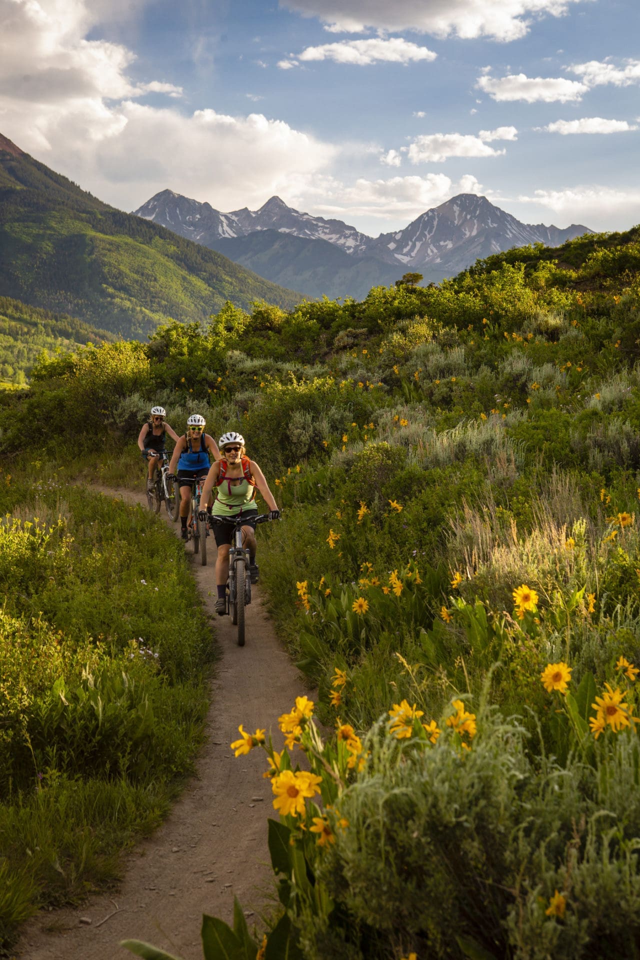 A group of friends biking a trail