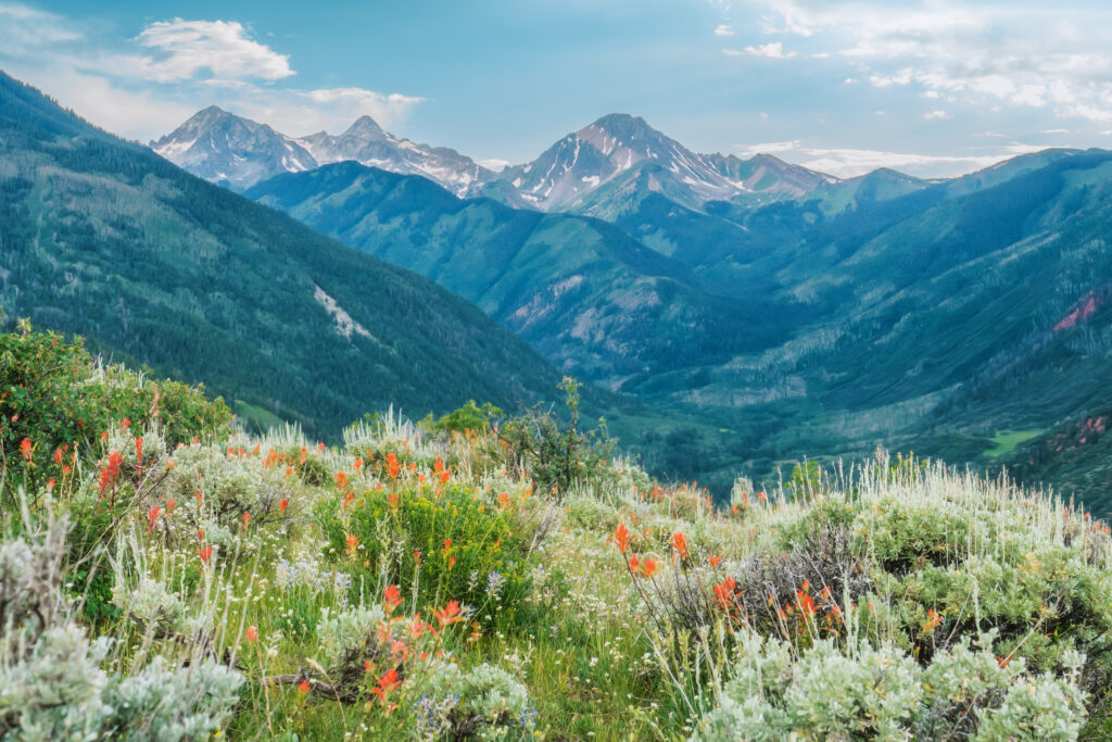 View from Spiral Point of Mt. Daly in the summertime